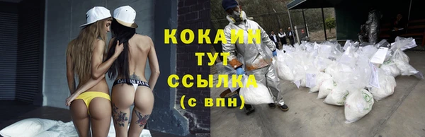 мет Алексин