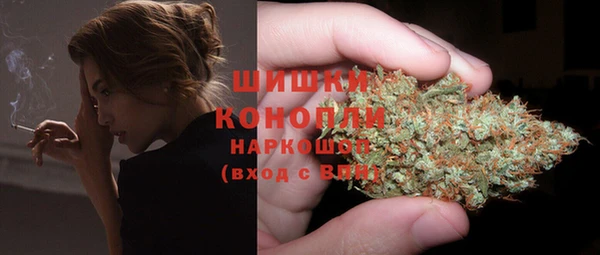 дурь Алзамай