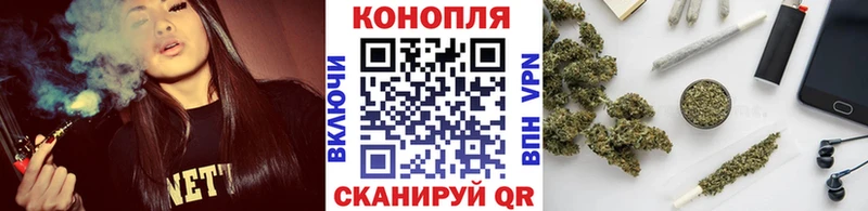 Бошки Шишки Amnesia  где продают   Старая Русса 
